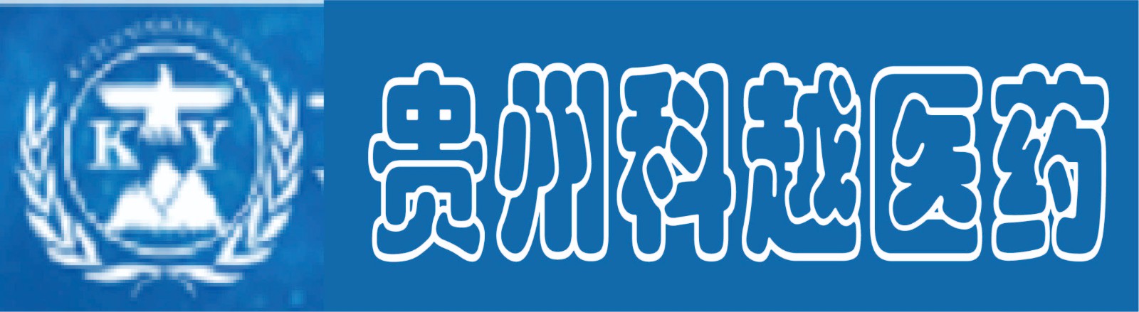 贵州科越医药科技有限公司